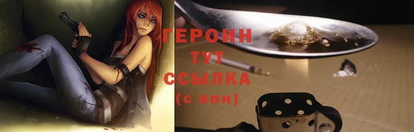 хмурый Арсеньев