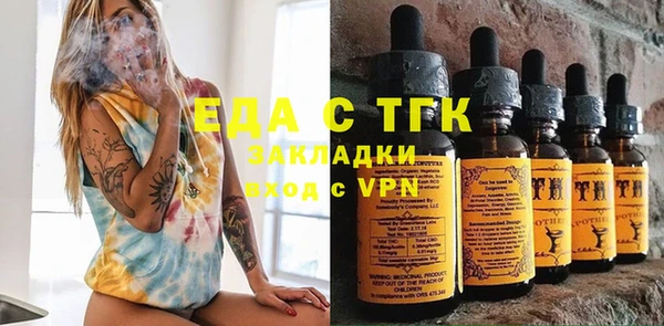 хмурый Арсеньев
