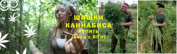 круглые Аркадак