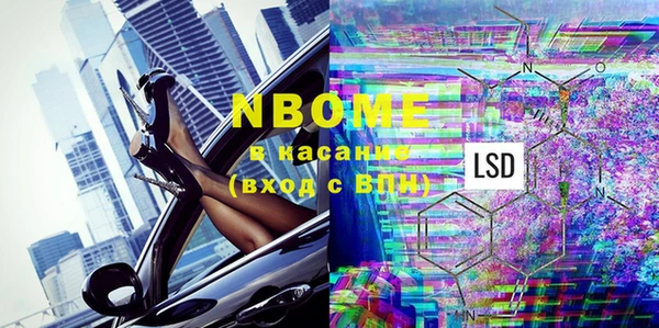 хмурый Арсеньев