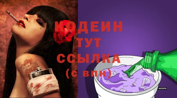 хмурый Арсеньев
