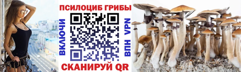 Галлюциногенные грибы GOLDEN TEACHER Суворов