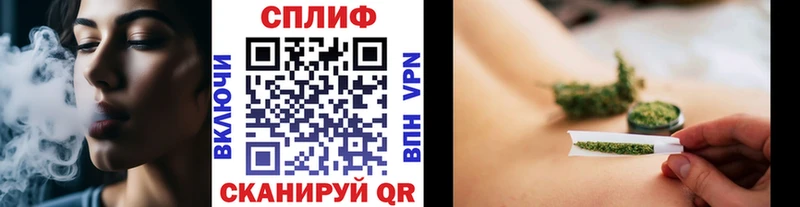 где продают   Суворов  Бошки марихуана планчик 